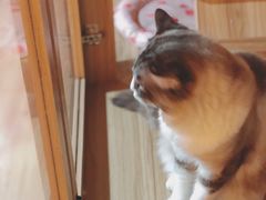 -白兔子密室(长寿路店)