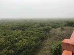 景点-北海金海湾红树林生态旅游区