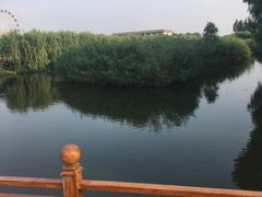 -白洋淀景区