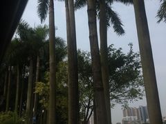 -南宁南湖公园
