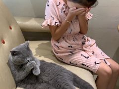 -藏猫猫咖啡主题馆(中央大道店)