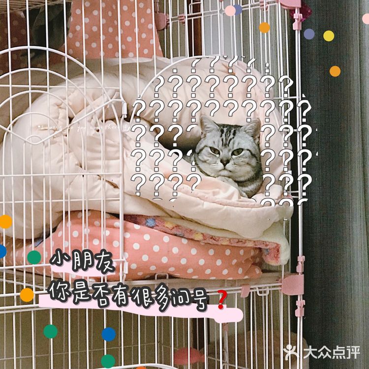 记录生活日常 | 黄油相机超好用✨