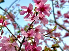 -梁鸿国家湿地公园