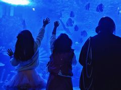 -顺德南宏海立方海洋公园