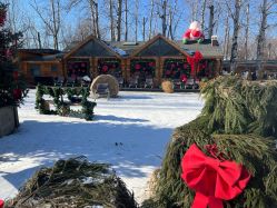 -禧园Joyous Garden ·宴会厅(禧园店)