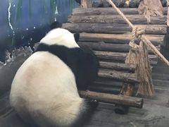 -无锡动物园·太湖欢乐园