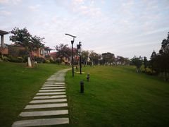 -厦门国家会计学院