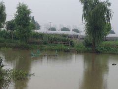 -马陆小张葡萄园农家乐