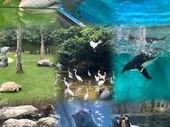 -珠海长隆海洋王国