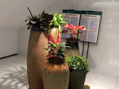 -西湖春天•老字号杭州菜(百汇店)