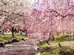 -迎泽公园