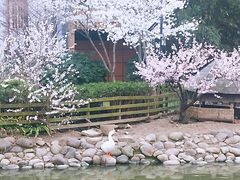 -田园东方蜜桃村的田野营地