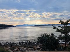 -深圳湾公园(南山区)