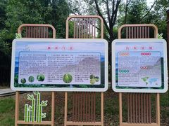 -蔡伦竹海