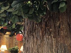 -八府香鸭·啫啫煲(华山路店)