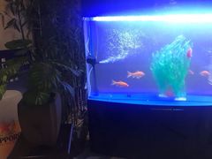 -花月日本料理(奥林匹克大厦店)