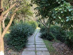 -九龙潭景区