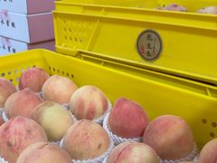 -老袁家蜜桃农场·阳山水蜜桃