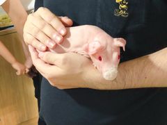 -藦茜花园宠物主题亲子互动体验馆(国顺东路店)