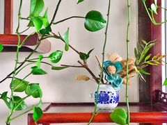 包房-亿诣蝎府炸酱面羊蝎子火锅(酷车小镇店)