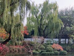 -秋霞圃