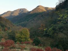 -溪口-滕头旅游景区