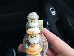 -普陀山慧济禅寺