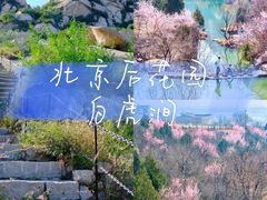 -桔子文创·企业团建·活动策划·拓展会议