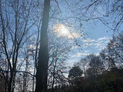 -武汉紫薇都市田园