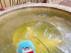 -春晖园度假酒店温泉