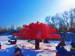 -欢乐水魔方水世界