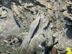 -灵山岛风景区