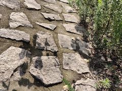 -双山岛