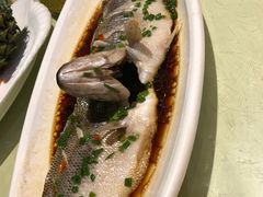 -HOHO餐厅(古子城店)