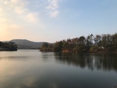 -佛手湖郊野公园