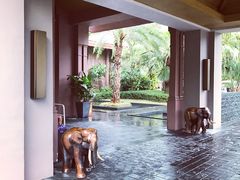 -广州都喜泰丽温泉度假酒店