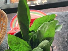 -老牌坊云南鱼豆花火锅(哈西万达店)