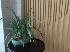 -团圆口腔·种植中心(锦江院区)