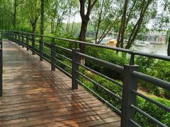 -大兴滨河森林公园