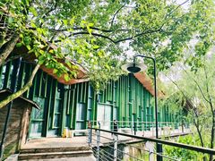 -西湖风景区-江洋畈生态公园