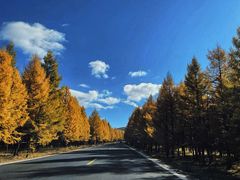 -塞罕坝国家级自然保护区