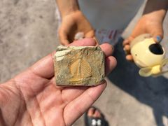 -房山世界地质公园博物馆