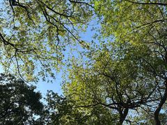 -浙江大学(玉泉校区)