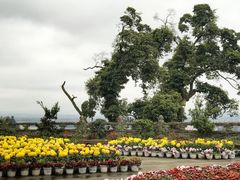 -乐山大佛风景名胜区乌尤寺南门-售票点