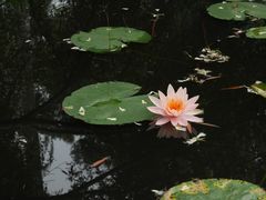 -华南国家植物园-售票处