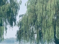 -东湖生态旅游风景区