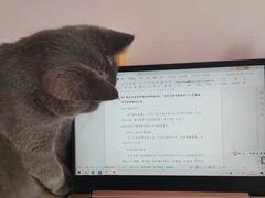 -客栈猫舍(中央北路店)