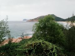 -广东惠东海龟国家级自然保护区
