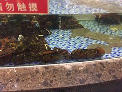 -海鲜码头