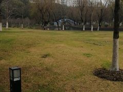 -中央公园(苏州工业园区)
